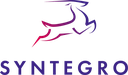 Syntegro